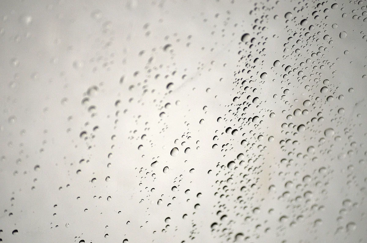 Les causes cachées : pourquoi l'humidité est le vrai coupable
